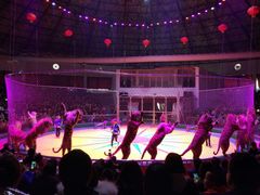 -西安秦岭野生动物园