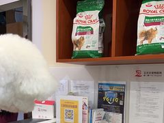 -艾贝尔宠物医院·24H转诊中心·肿瘤猫专科(江宁双龙店)