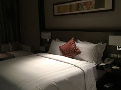-深圳湾科技园丽雅查尔顿酒店