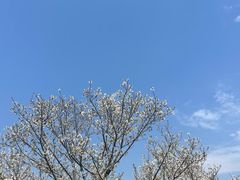 -长广溪湿地公园