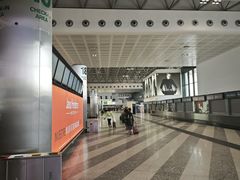 -米兰马尔彭萨国际机场