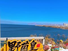 -野菌皇海景野生菌火锅(滨海大道店)