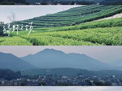 -龙坞茶村