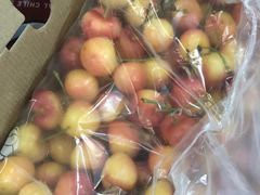 -西郊国际农产品交易中心