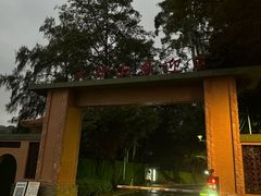 -火炉山森林公园