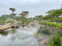 -罗红摄影艺术馆