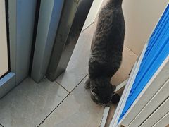 -佳雯宠物医院·皮肤科·内外科(春晓路分院)