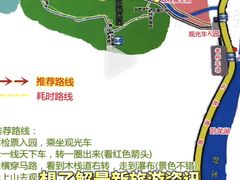 -汤旺河林海奇石景区