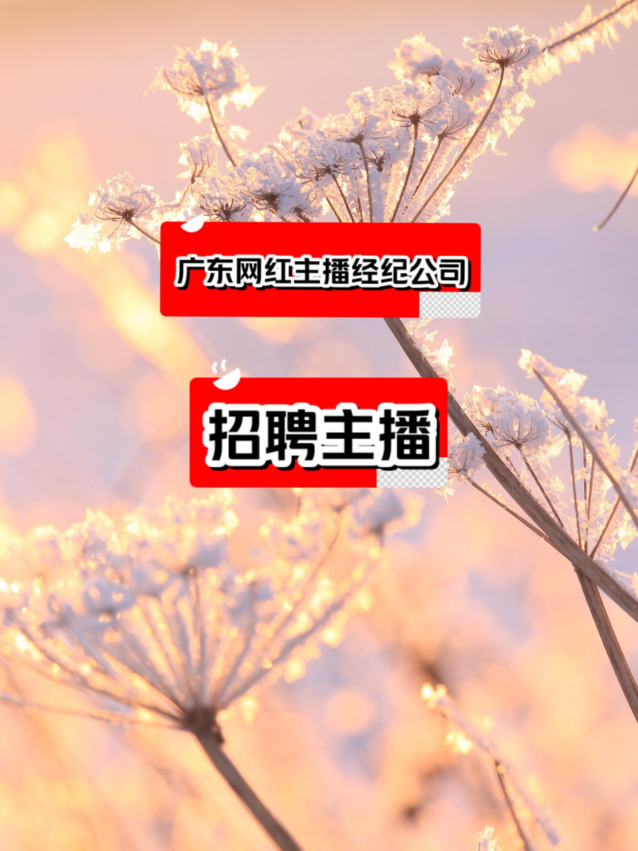 洮南主播招聘网站_2021年洮南招聘信息