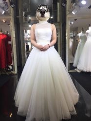 点击看大图 -韩国天使嫁衣婚纱礼服馆(上海旗舰店)