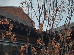 -VOYAGE COFFEE(杨梅竹店)