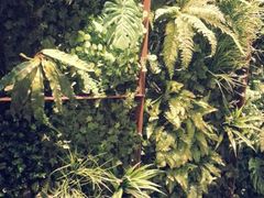 -manabe (共和新路店)