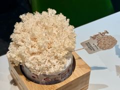 -烹然四季椰子鸡火锅(姚家园万象汇店)
