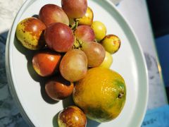-悦海·家宴·冰花皮皮虾大锅贴(宝龙店)