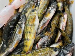 -畲乡一品鱼府土菜馆