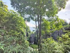 -梭布垭石林景区