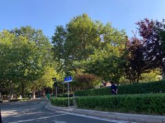 -九龙餐厅(大沽路店)