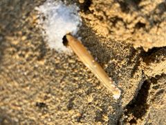 -烟台金沙滩喜来登度假酒店