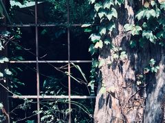 -馬蘭花開(车站大道店)