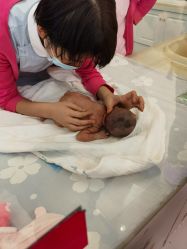 -大美臻喜母婴(重庆创始店)