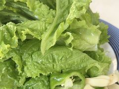 -老地方啤酒屋·海鲜青岛菜大排档(台东步行街店)