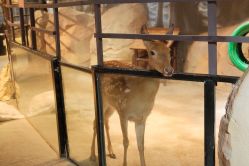 -酷嗒动物文化乐园(cutezoo西溪乐天城店)