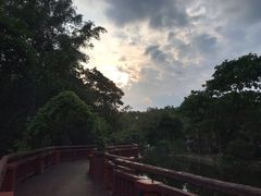 -清迈夜间动物园
