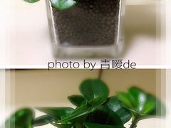 -秦美花卉(天朗·莱茵小城2期店)