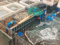-郑庄脂渣海鲜楼(九水路店)