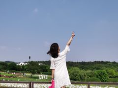 -大塘金香草谷