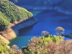 -四明山国家森林公园