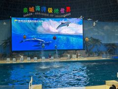-泉城欧乐堡海洋极地世界