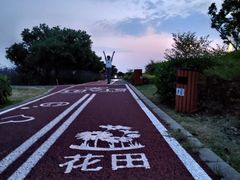 -西京湾花海