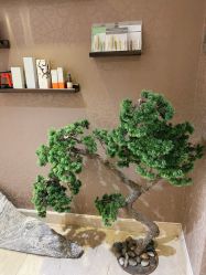 -JNK皮肤管理中心