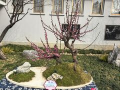 -无锡梅园公园