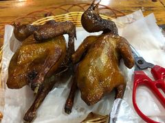 -石岐乳鸽村(桥观坊南四巷店)