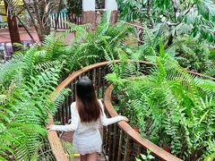 -正佳雨林生态植物园