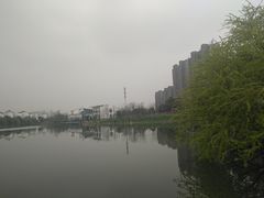 -九里河湿地公园