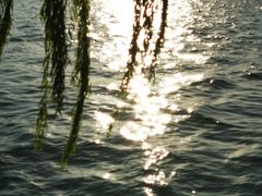 -西湖天地