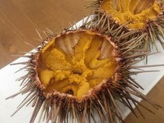 生海胆-海胆小馆(东北水饺·春柳店)