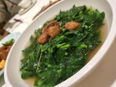 上汤豆苗-金悦轩海鲜城(渔人码头店)