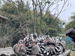 -宁波野生动物园