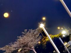 -澳门旅游塔360°旋转餐厅(南湾湖广场店)