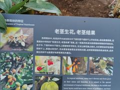 -北京植物园-展览温室