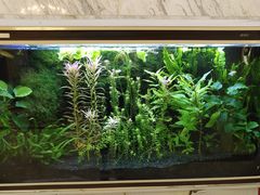 -尚足影院式足疗·住宿·美食(解放碑店)