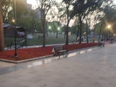 -新江湾城公园