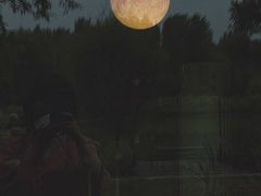 -Supine Bistro溯泮餐厅