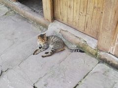-福宝古镇