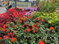 -二沙岛艺术公园