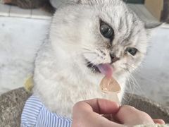 -小时光咖啡馆(北锣鼓巷店)